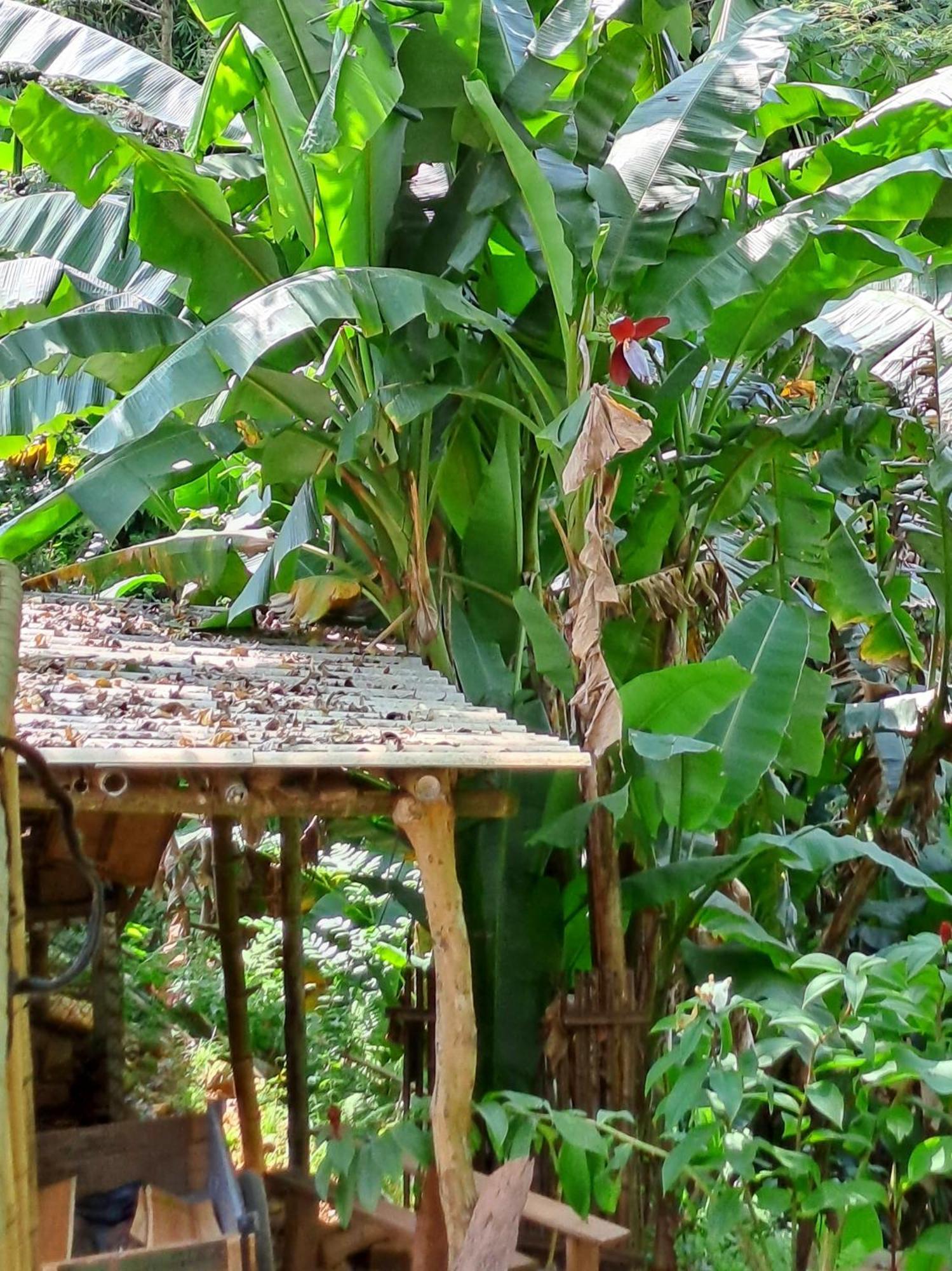 Muong Bi Homestay Hoa Binh Exterior photo