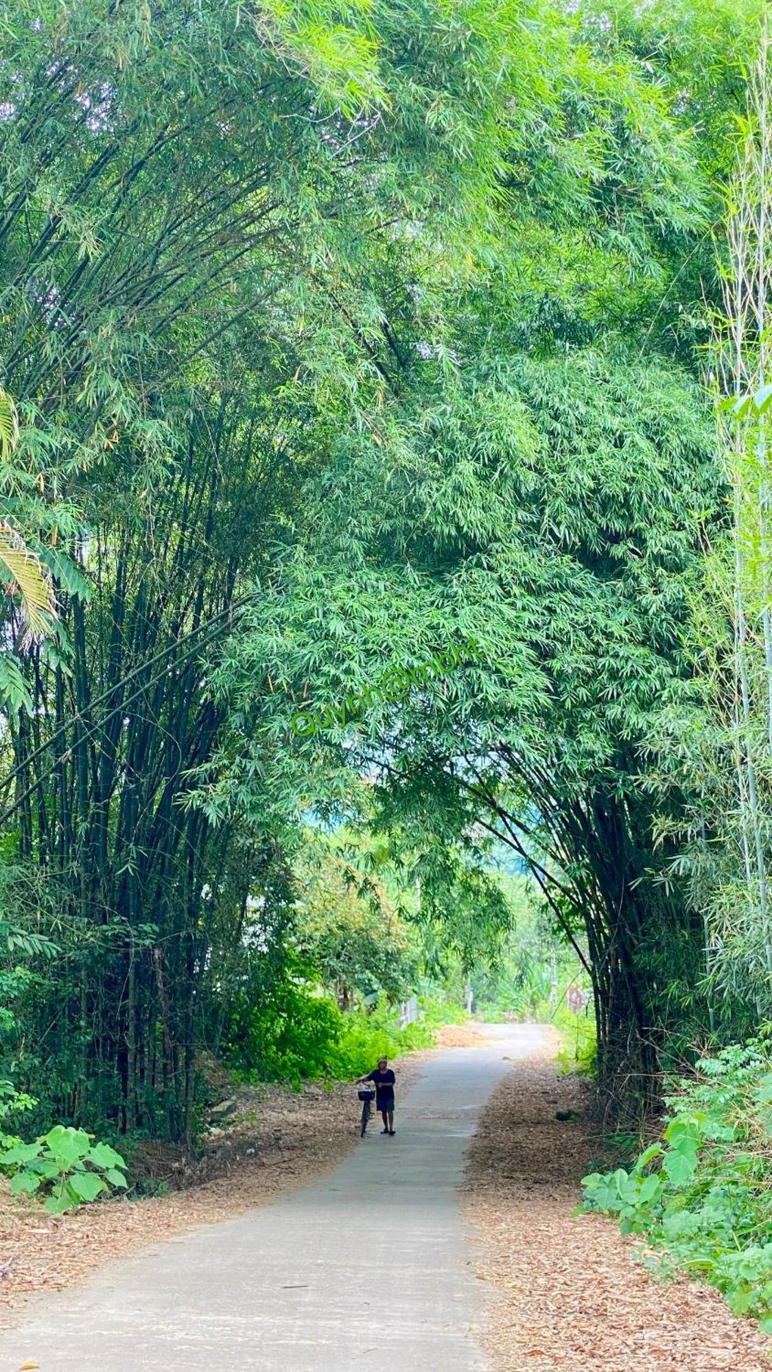 Muong Bi Homestay Hoa Binh Exterior photo