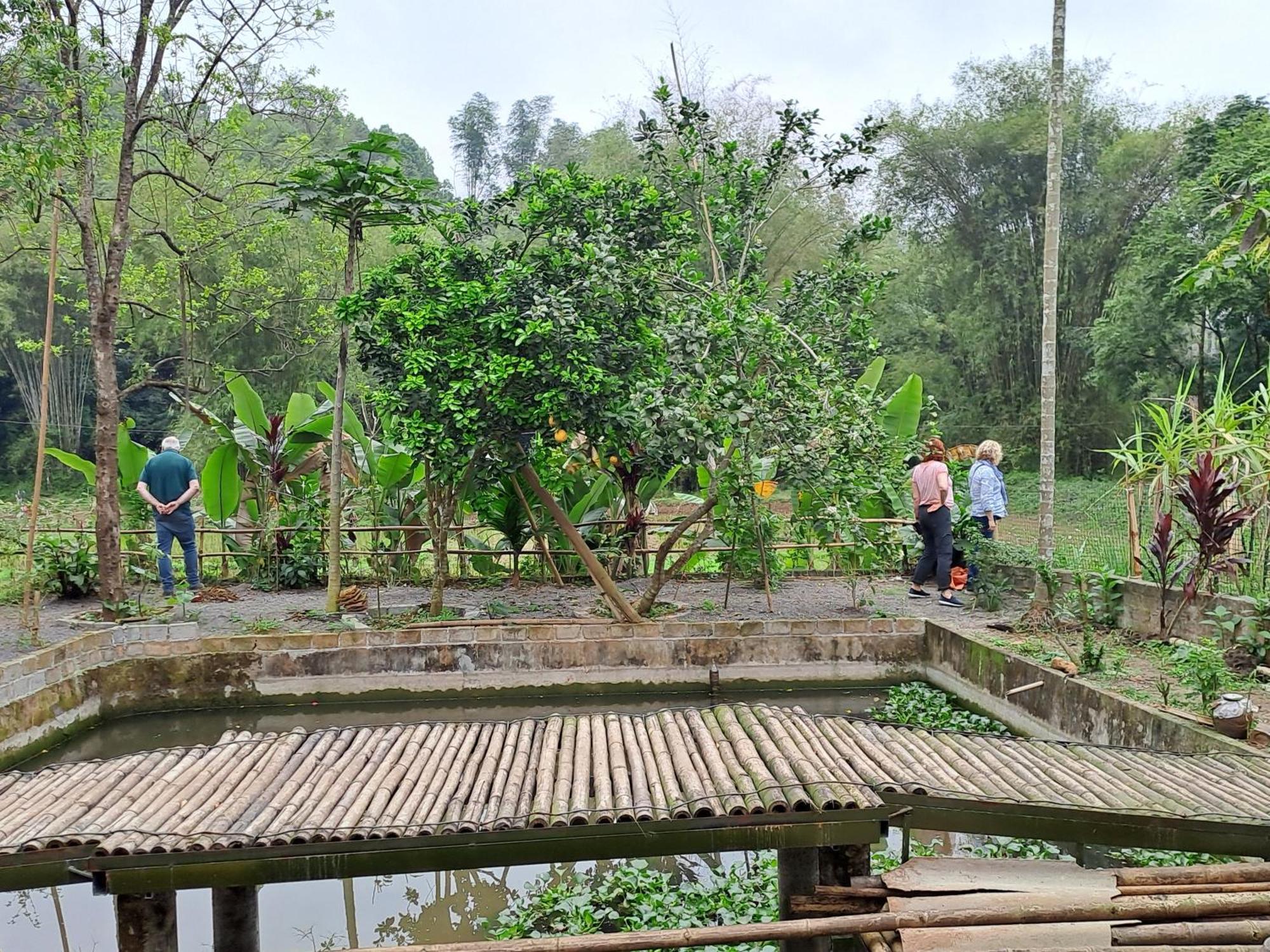 Muong Bi Homestay Hoa Binh Exterior photo